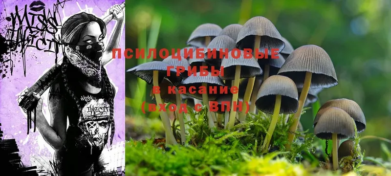 купить  сайты  Малаховка  Псилоцибиновые грибы MAGIC MUSHROOMS 